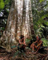 /album/fotogaleria-mentawai-ostrov-ludozrutov-zajazd-vy-a-my/mentaway-siberut-zajazd-jamajkanita-80-jpg/